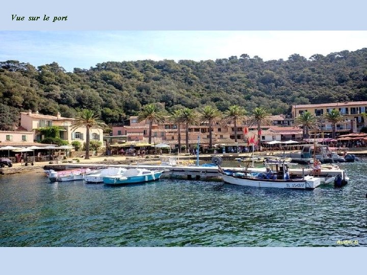 Vue sur le port 