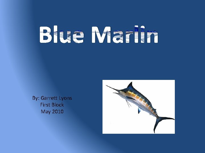 Blue Marlin By: Garrett Lyons First Block May 2010 