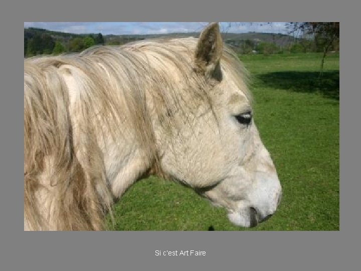 Si c’est Art Faire 
