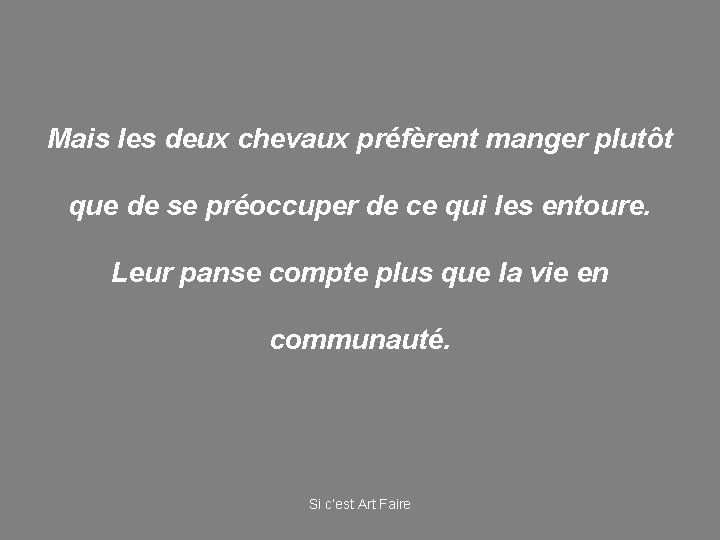 Mais les deux chevaux préfèrent manger plutôt que de se préoccuper de ce qui