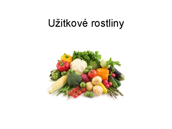 Užitkové rostliny 