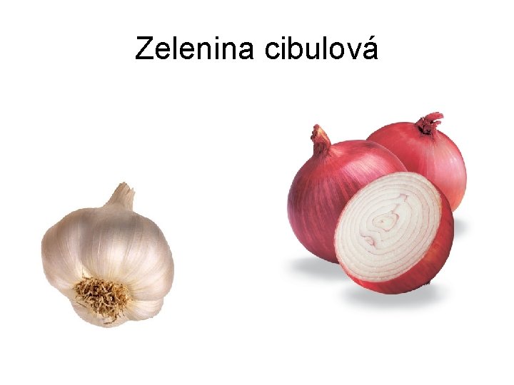 Zelenina cibulová 