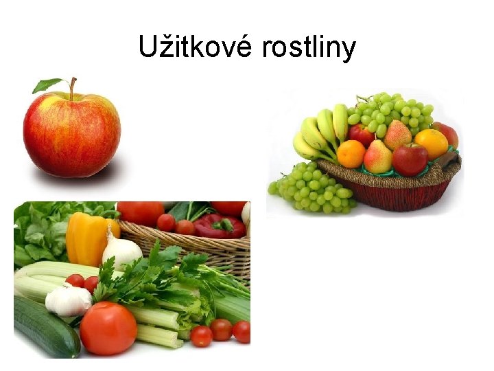 Užitkové rostliny 