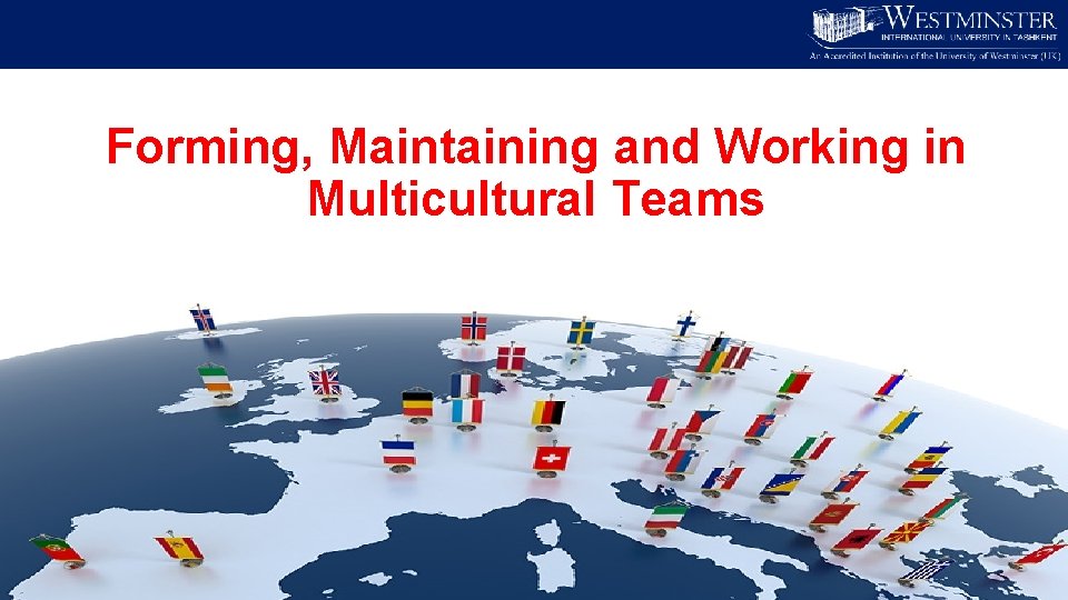 Forming, Maintaining and Working in Multicultural Teams 