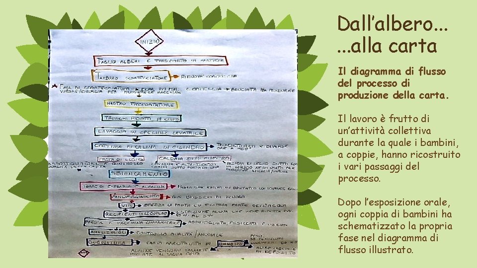 Dall’albero. . . alla carta Il diagramma di flusso del processo di produzione della