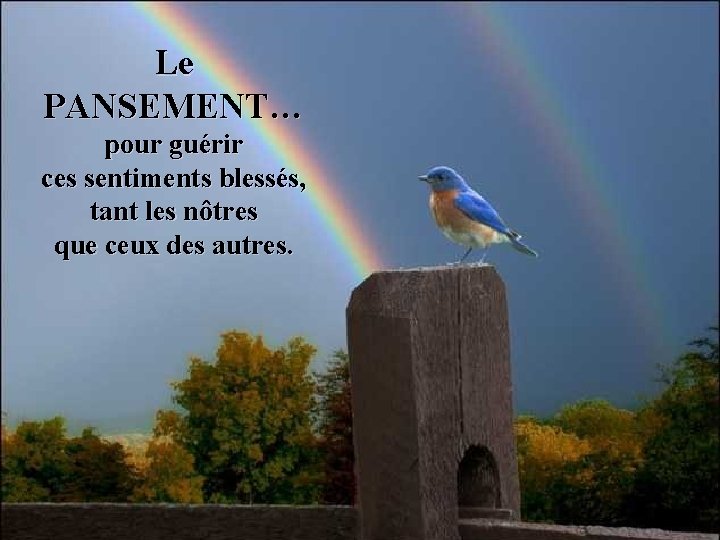 Le PANSEMENT… pour guérir ces sentiments blessés, tant les nôtres que ceux des autres.