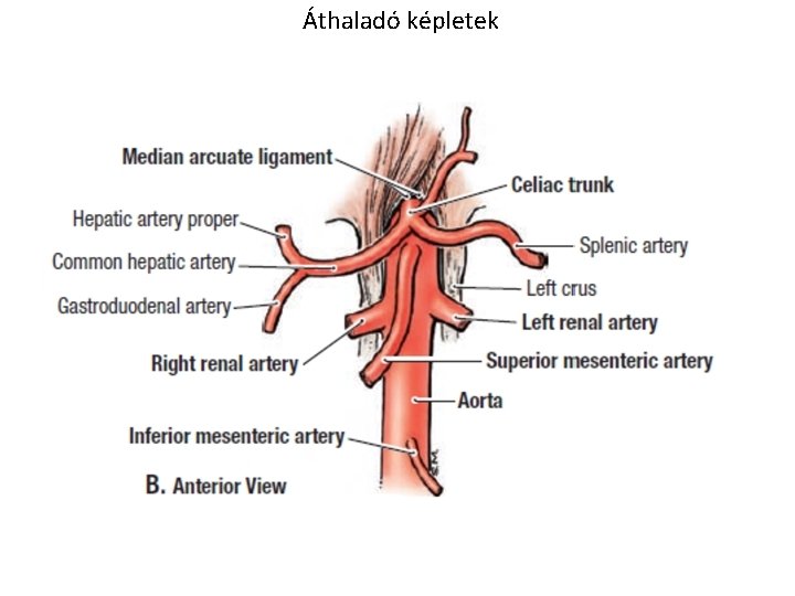 Áthaladó képletek 