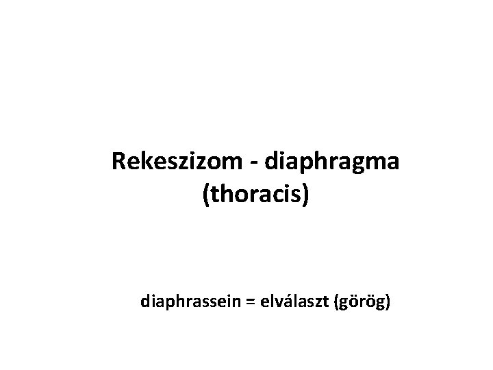 Rekeszizom - diaphragma (thoracis) diaphrassein = elválaszt (görög) 