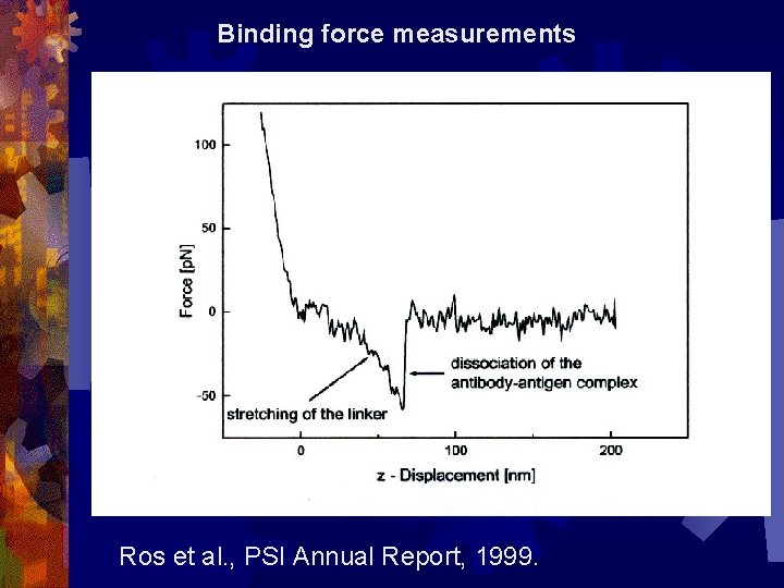 Binding force measurements Ros et al. , PSI Annual Report, 1999. 