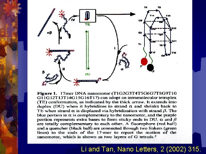 Li and Tan, Nano Letters, 2 (2002) 315. 