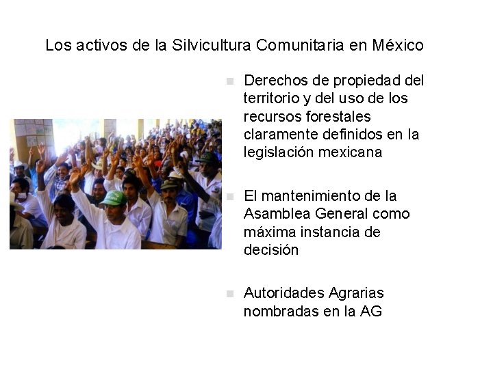 Los activos de la Silvicultura Comunitaria en México n Derechos de propiedad del territorio