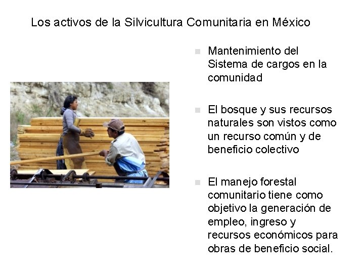 Los activos de la Silvicultura Comunitaria en México n Mantenimiento del Sistema de cargos