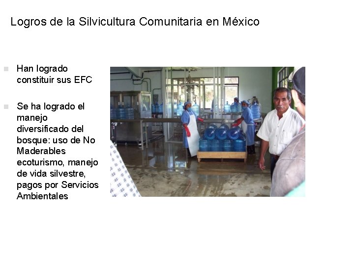 Logros de la Silvicultura Comunitaria en México n Han logrado constituir sus EFC n
