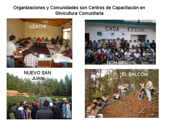 Organizaciones y Comunidades son Centros de Capacitación en Silvicultura Comunitaria UZACHI NOH BEC NUEVO