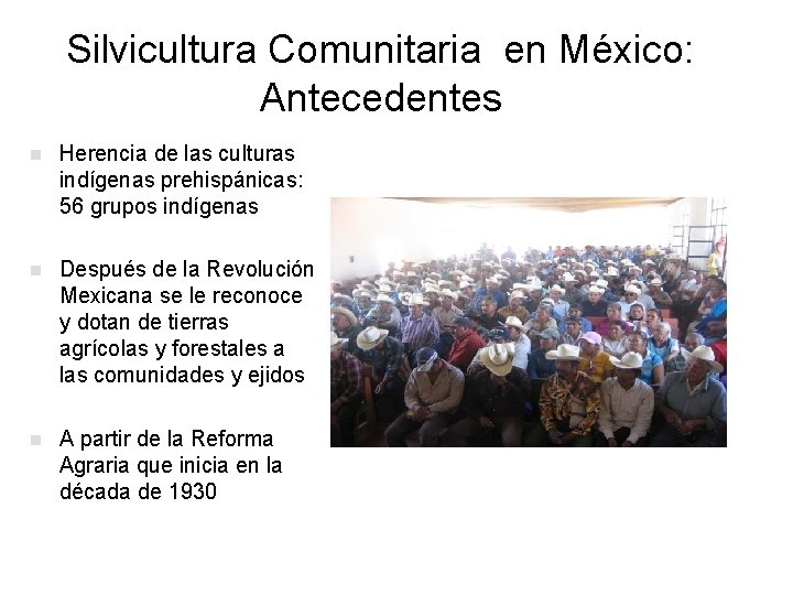 Silvicultura Comunitaria en México: Antecedentes n Herencia de las culturas indígenas prehispánicas: 56 grupos