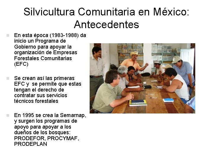 Silvicultura Comunitaria en México: Antecedentes n En esta época (1983 -1988) da inicio un