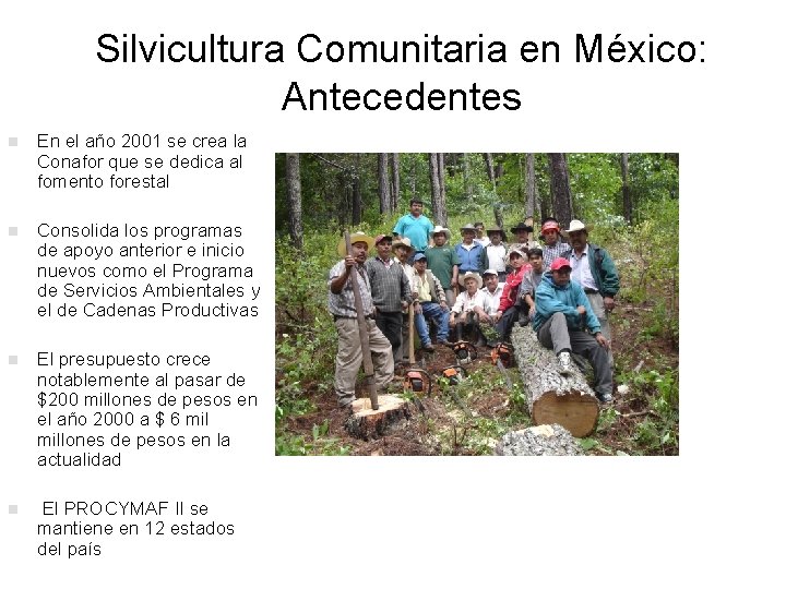 Silvicultura Comunitaria en México: Antecedentes n En el año 2001 se crea la Conafor