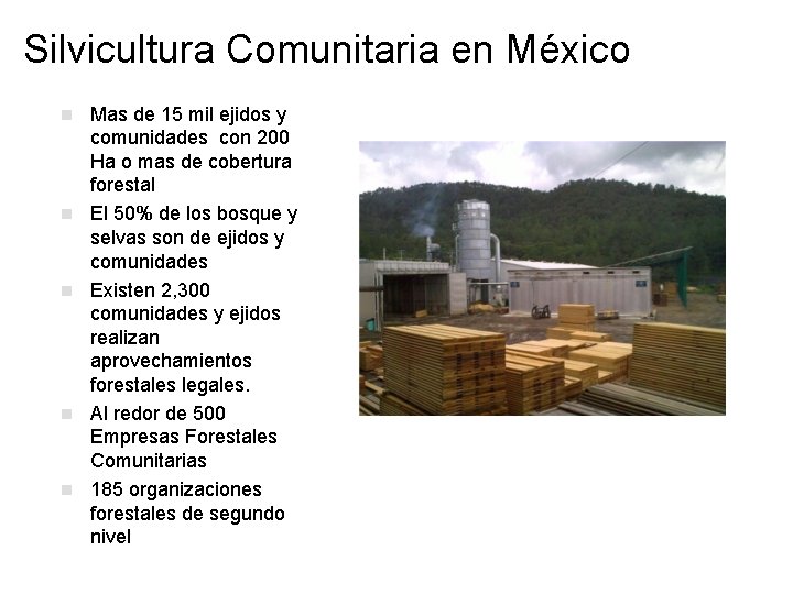 Silvicultura Comunitaria en México n n n Mas de 15 mil ejidos y comunidades