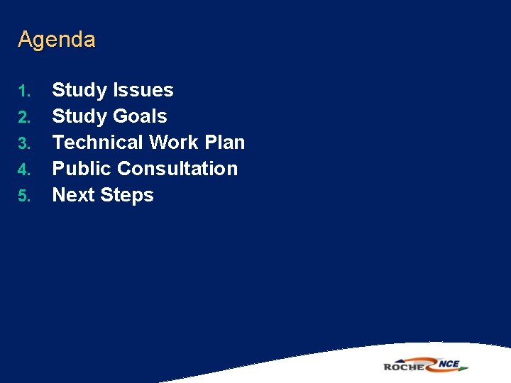 Agenda 1. 2. 3. 4. 5. Study Issues Study Goals Technical Work Plan Public