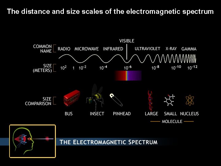 The distance and size scales of the electromagnetic spectrum 