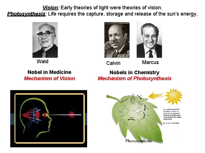 Vision: Early theories of light were theories of vision. Photosynthesis: Life requires the capture,