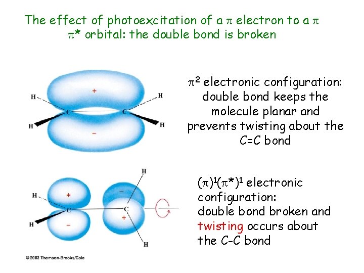 The effect of photoexcitation of a electron to a * orbital: the double bond