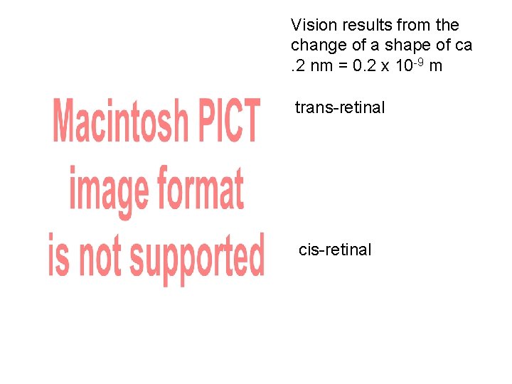 Vision results from the change of a shape of ca. 2 nm = 0.