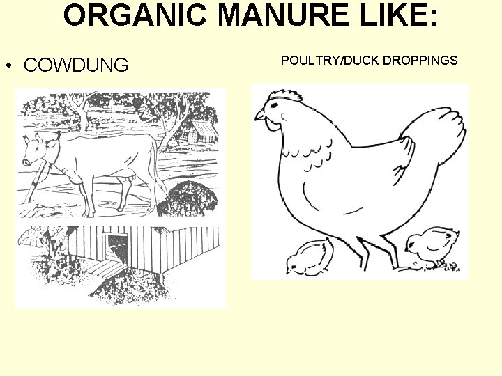 ORGANIC MANURE LIKE: • COWDUNG POULTRY/DUCK DROPPINGS 