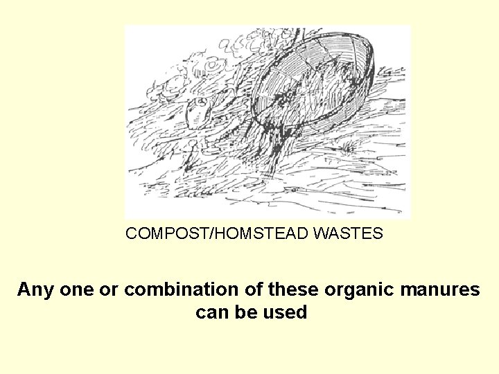 COMPOST/HOMSTEAD WASTES Any one or combination of these organic manures can be used 