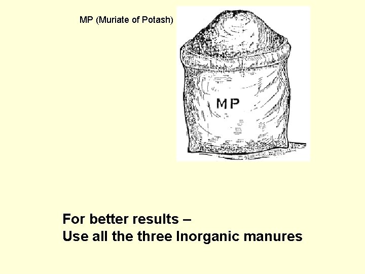 MP (Muriate of Potash) For better results – Use all the three Inorganic manures