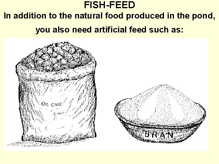 FISH-FEED In addition to the natural food produced in the pond, you also need