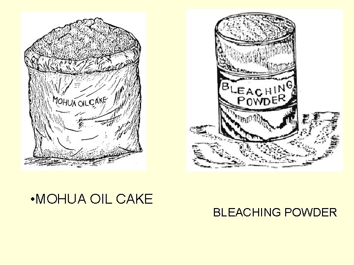  • MOHUA OIL CAKE BLEACHING POWDER 