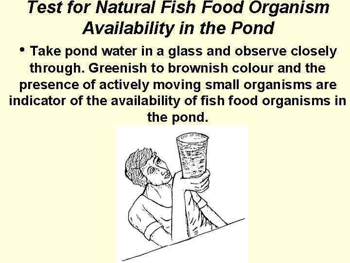 Test for Natural Fish Food Organism Availability in the Pond • Take pond water