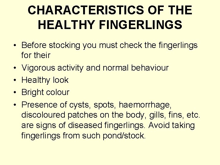 CHARACTERISTICS OF THE HEALTHY FINGERLINGS • Before stocking you must check the fingerlings for