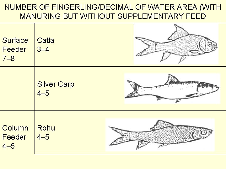 NUMBER OF FINGERLING/DECIMAL OF WATER AREA (WITH MANURING BUT WITHOUT SUPPLEMENTARY FEED Surface Feeder