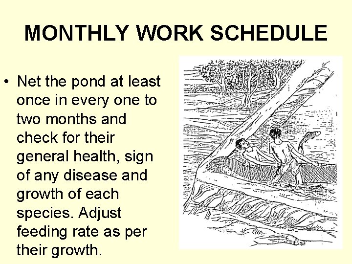 MONTHLY WORK SCHEDULE • Net the pond at least once in every one to