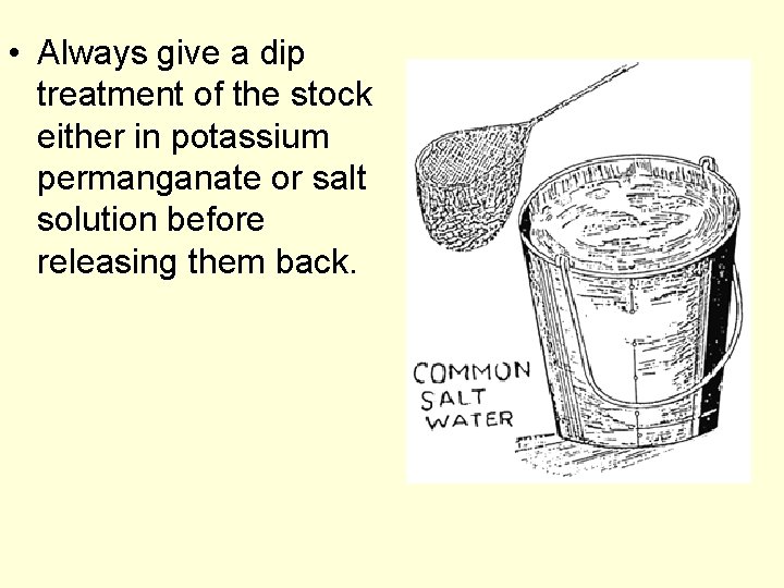  • Always give a dip treatment of the stock either in potassium permanganate