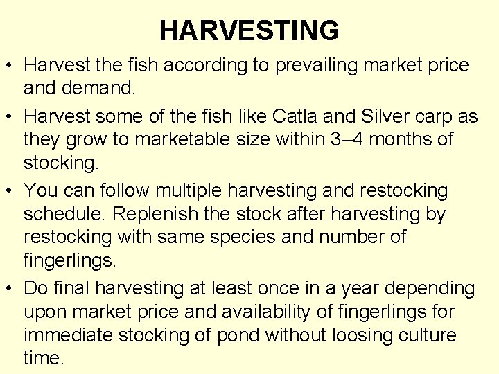 HARVESTING • Harvest the fish according to prevailing market price and demand. • Harvest