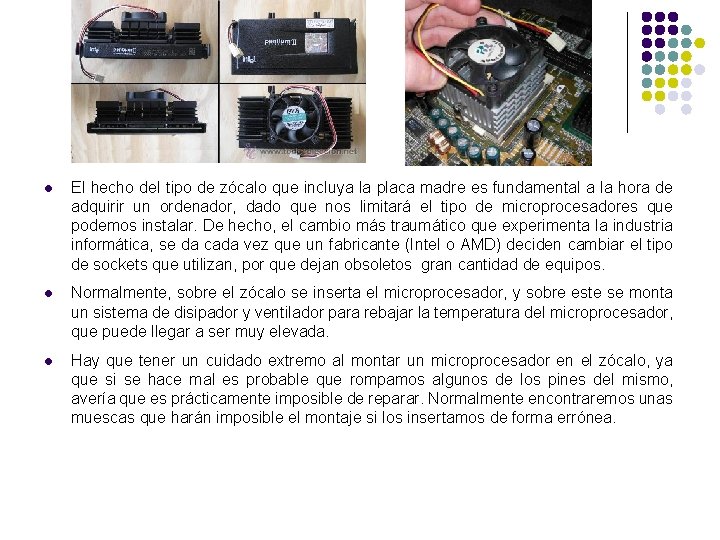 l El hecho del tipo de zócalo que incluya la placa madre es fundamental