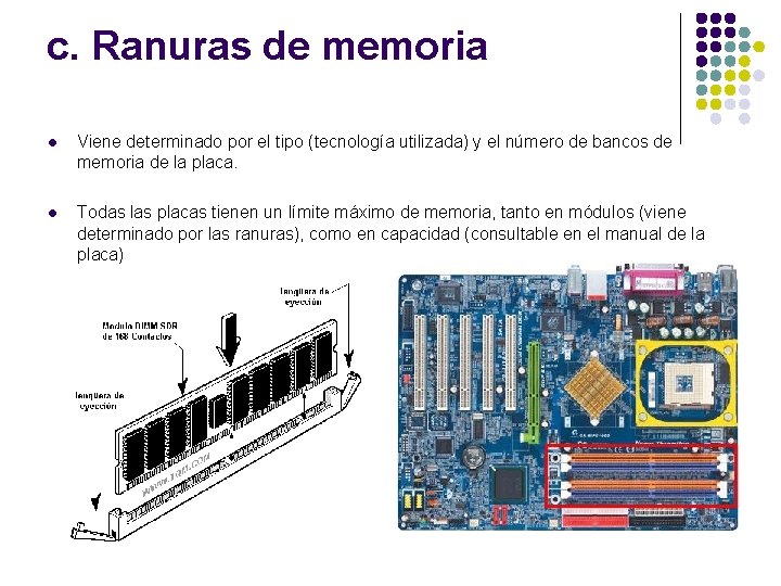 c. Ranuras de memoria l Viene determinado por el tipo (tecnología utilizada) y el