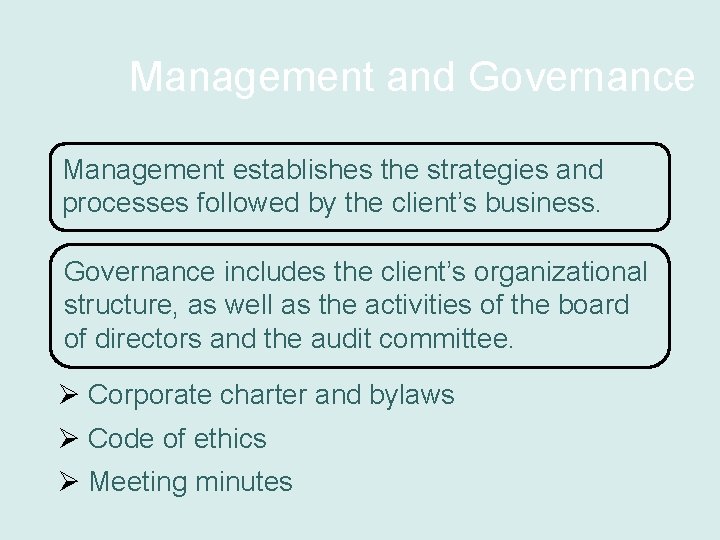 Management and Governance Management establishes the strategies and processes followed by the client’s business.