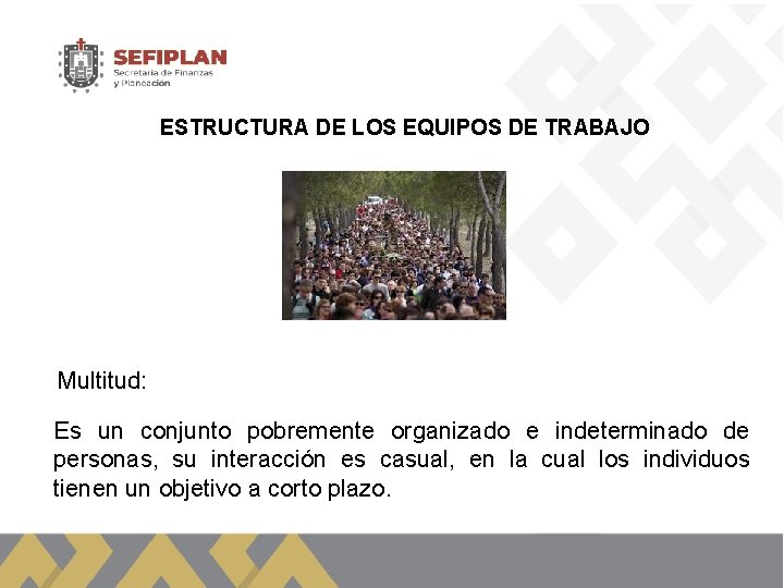 ESTRUCTURA DE LOS EQUIPOS DE TRABAJO Multitud: Es un conjunto pobremente organizado e indeterminado