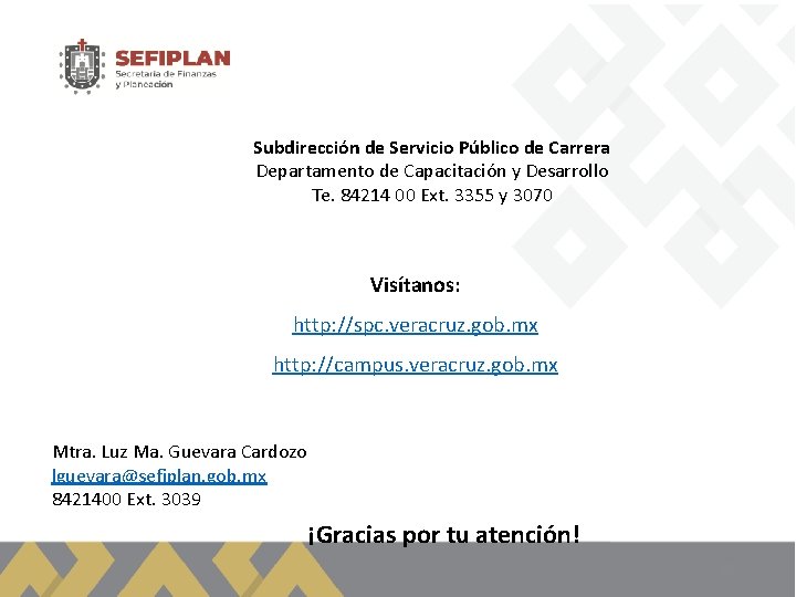 Subdirección de Servicio Público de Carrera Departamento de Capacitación y Desarrollo Te. 84214 00