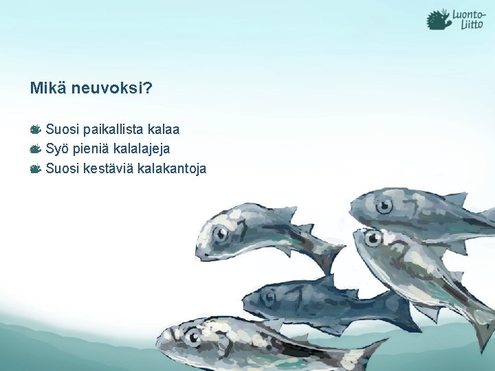 Mikä neuvoksi? Suosi paikallista kalaa Syö pieniä kalalajeja Suosi kestäviä kalakantoja Mikä neuvoksi? Suosi paikallista kalaa Syö pieniä kalalajeja Suosi kestäviä kalakantoja