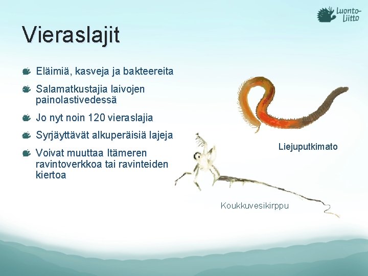 Vieraslajit Eläimiä, kasveja ja bakteereita Salamatkustajia laivojen painolastivedessä Jo nyt noin 120 vieraslajia Syrjäyttävät Vieraslajit Eläimiä, kasveja ja bakteereita Salamatkustajia laivojen painolastivedessä Jo nyt noin 120 vieraslajia Syrjäyttävät