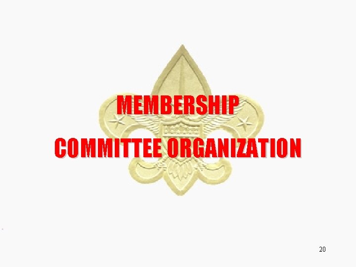 MEMBERSHIP COMMITTEE ORGANIZATION 20 