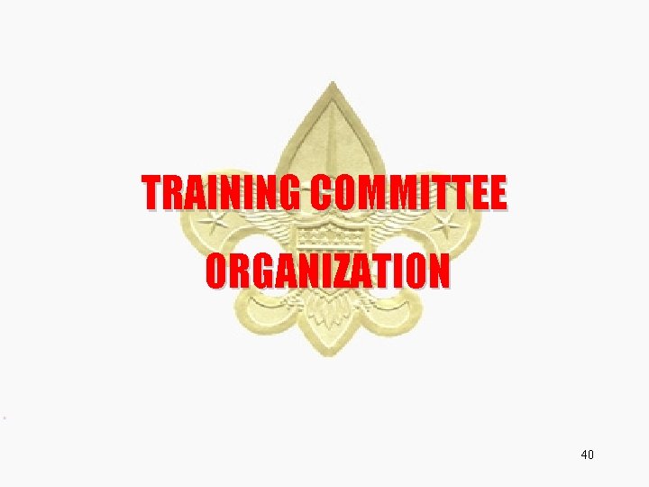 TRAINING COMMITTEE ORGANIZATION 40 