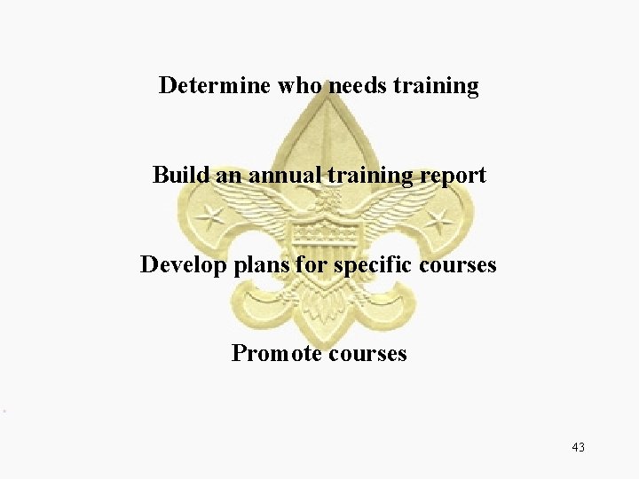 Determine who needs training Build an annual training report Develop plans for specific courses