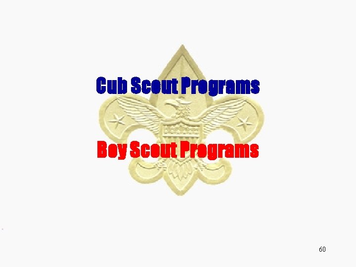 Cub Scout Programs Boy Scout Programs 60 