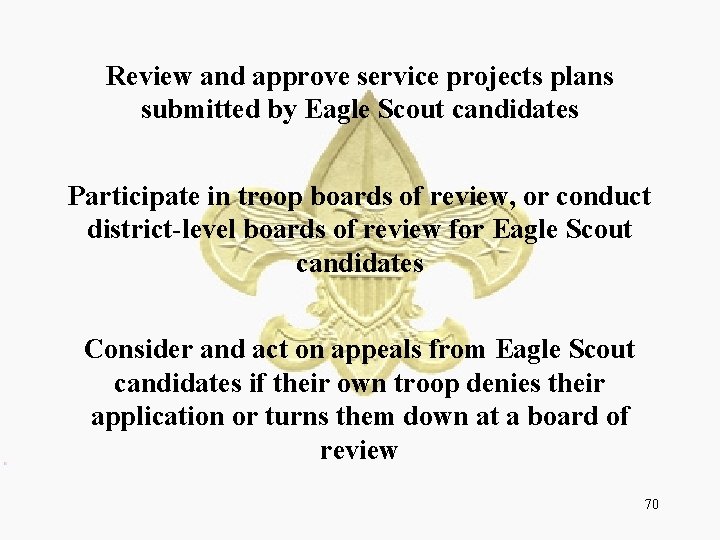 Review and approve service projects plans submitted by Eagle Scout candidates Participate in troop